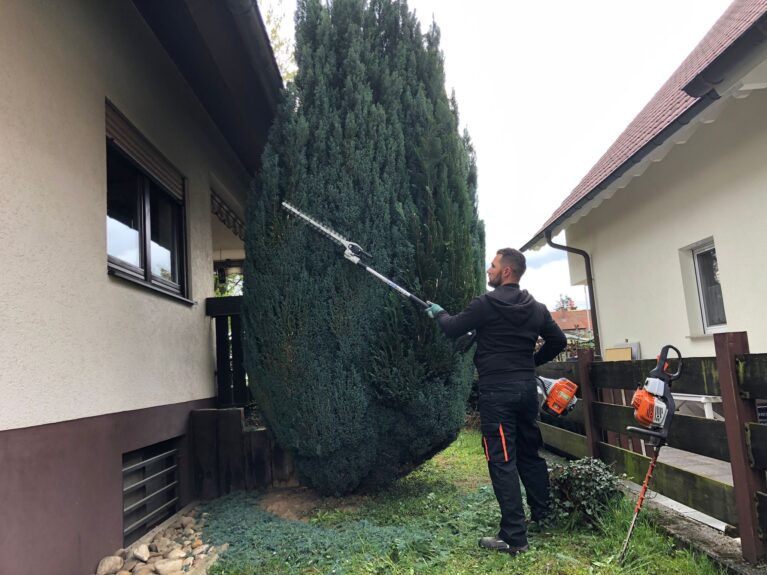 Zierbäume zurückschneiden in Neuenburg am Rhein