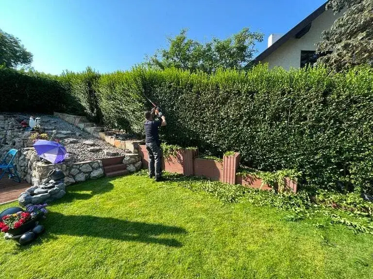 Gartengestaltung und Heckenschneiden